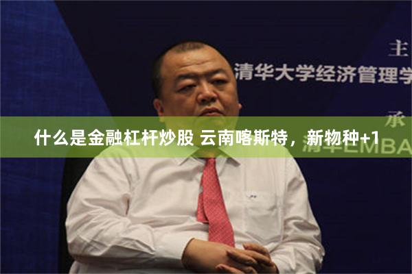 什么是金融杠杆炒股 云南喀斯特，新物种+1