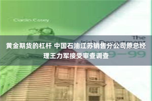 黄金期货的杠杆 中国石油江苏销售分公司原总经理王力军接受审查调查