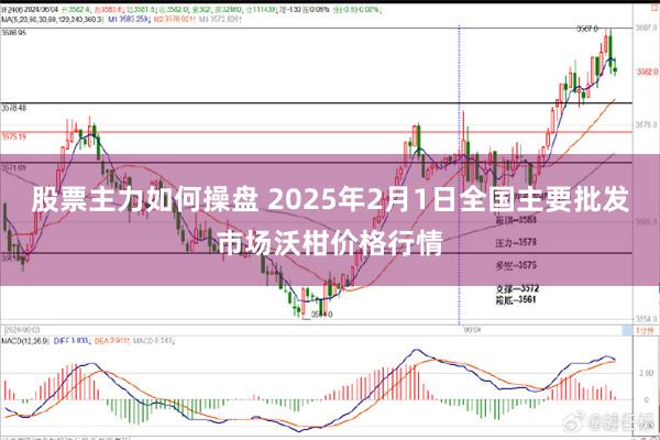 股票主力如何操盘 2025年2月1日全国主要批发市场沃柑价格行情