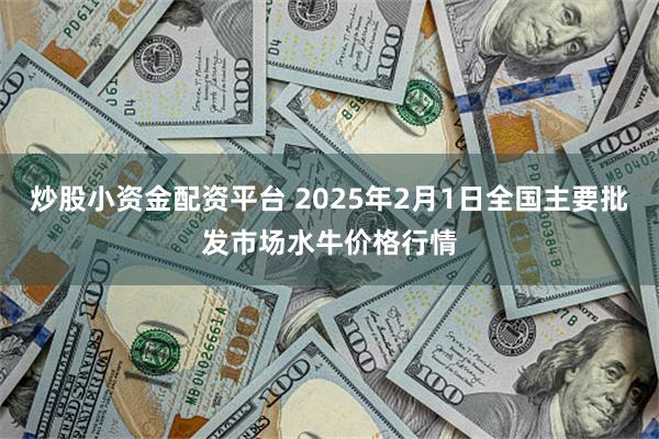 炒股小资金配资平台 2025年2月1日全国主要批发市场水牛价格行情