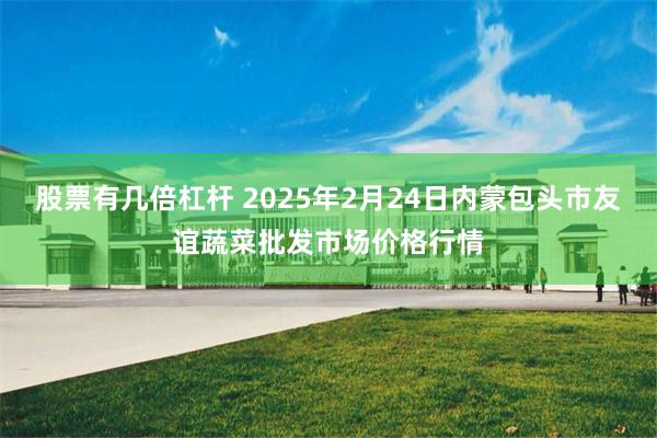 股票有几倍杠杆 2025年2月24日内蒙包头市友谊蔬菜批发市场价格行情