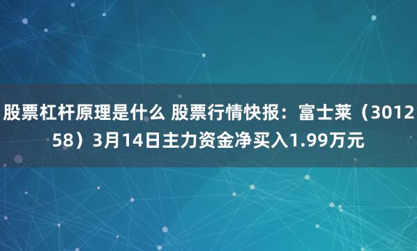 股票杠杆原理是什么 股票行情快报：富士莱（301258）3月14日主力资金净买入1.99万元