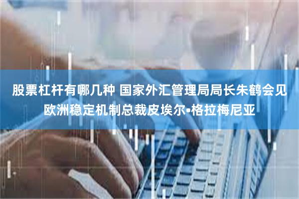 股票杠杆有哪几种 国家外汇管理局局长朱鹤会见欧洲稳定机制总裁皮埃尔•格拉梅尼亚